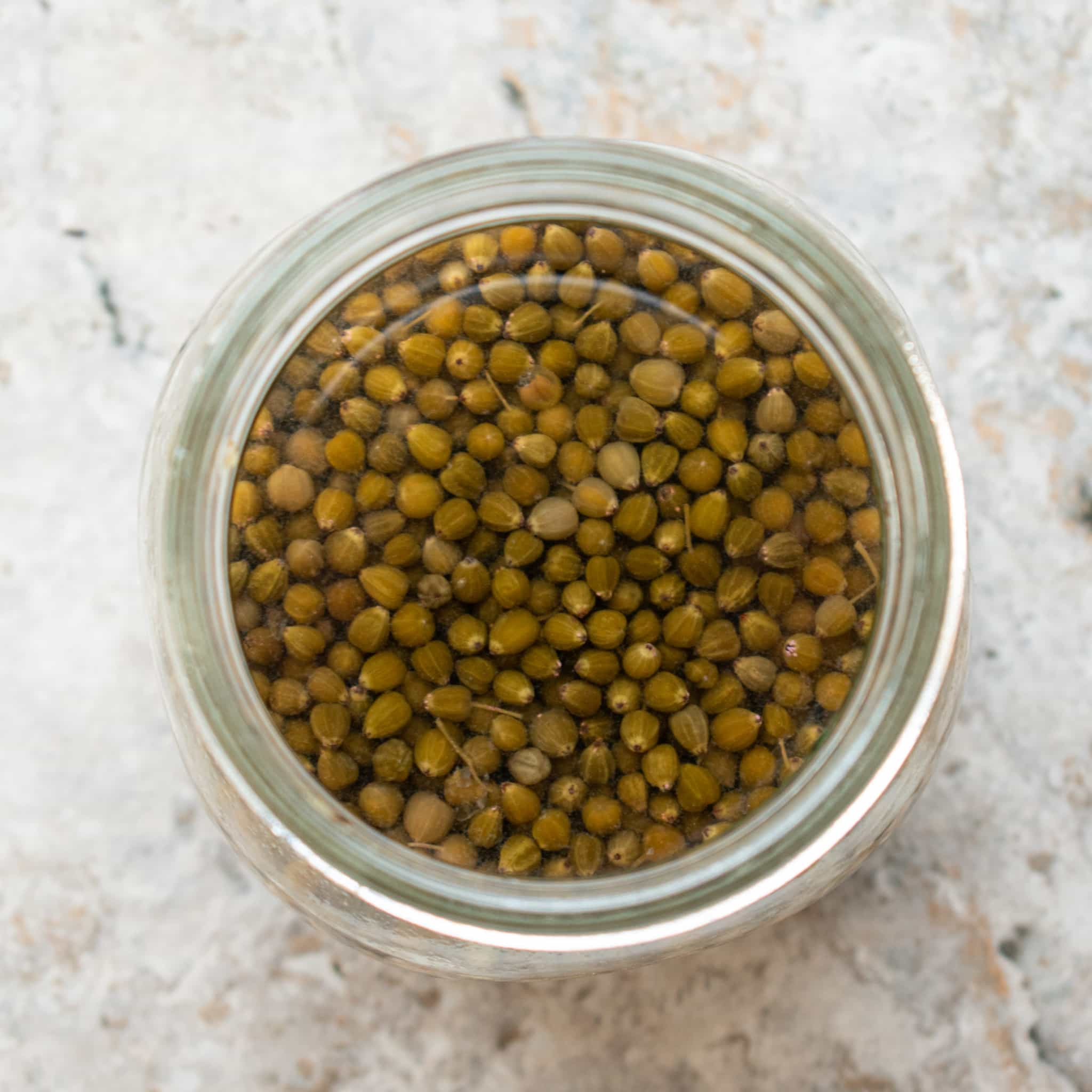 Elderberry Capers