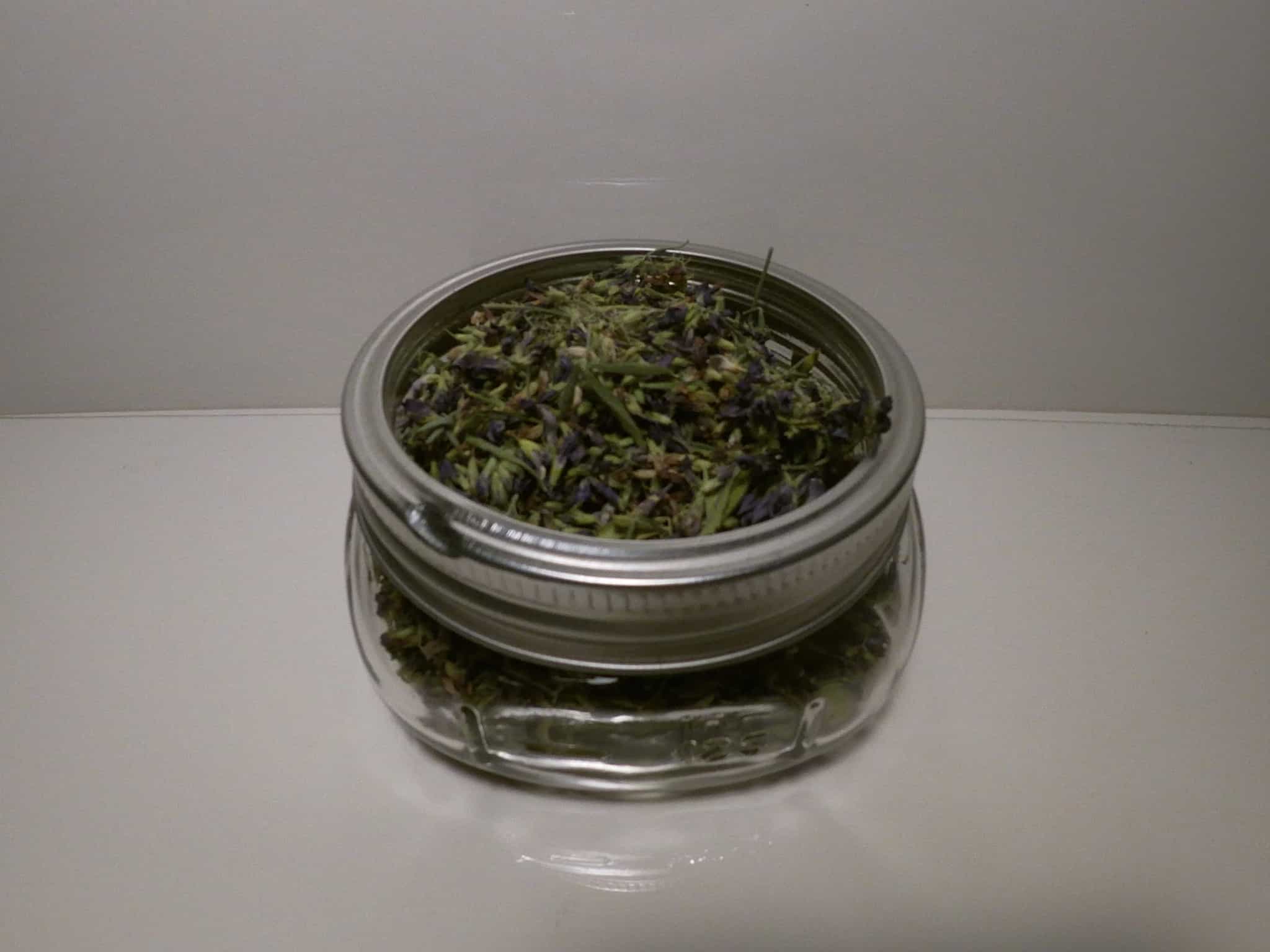 Dried Alfalfa
