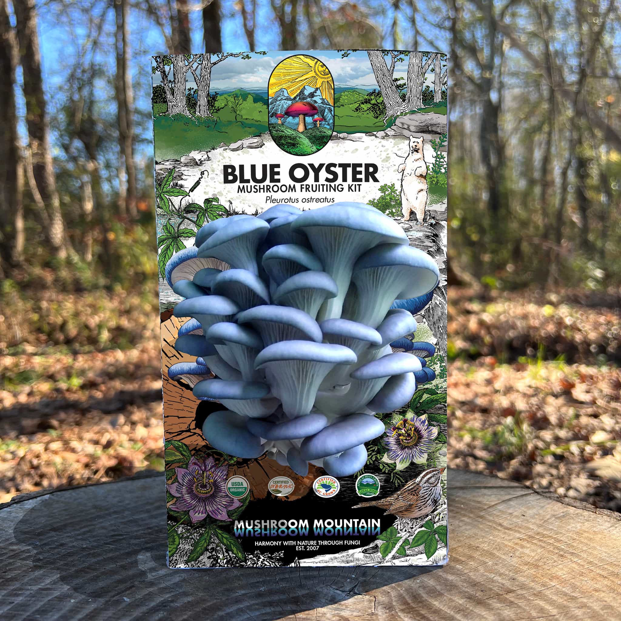 Blue Oyster Mushroom Fruiting Kit - (Pleurotus sp.)