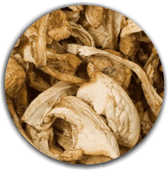 Product image #1