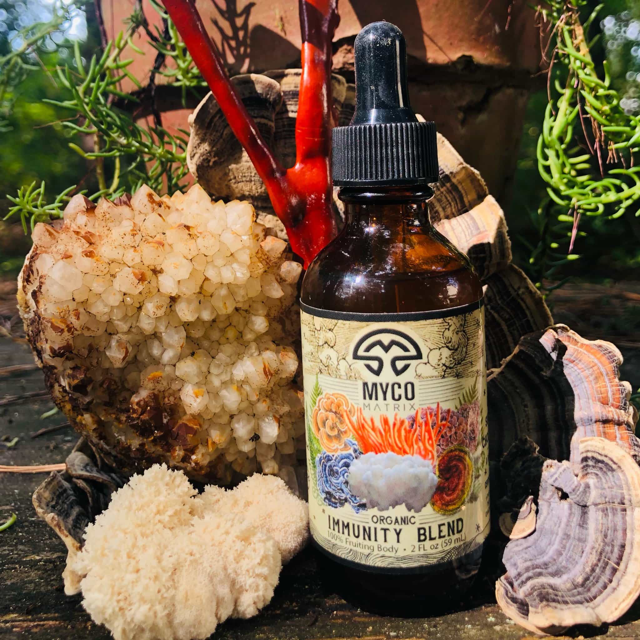 Mycomatrix IMMUNITY BLEND Adaptogenic Mushroom Extract