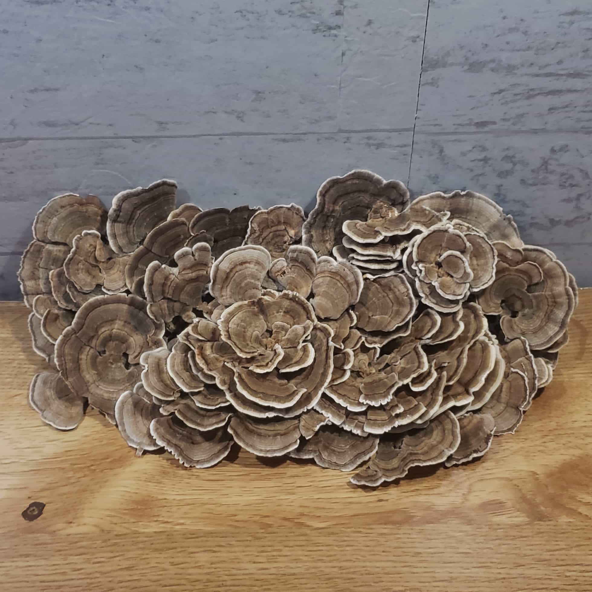 Product image #1