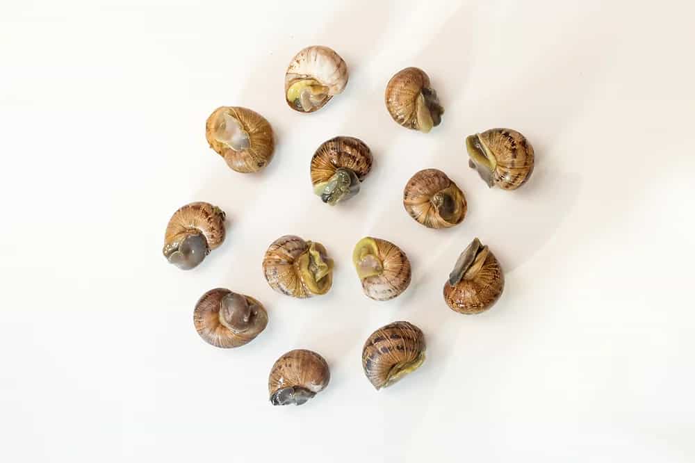 Product image #3