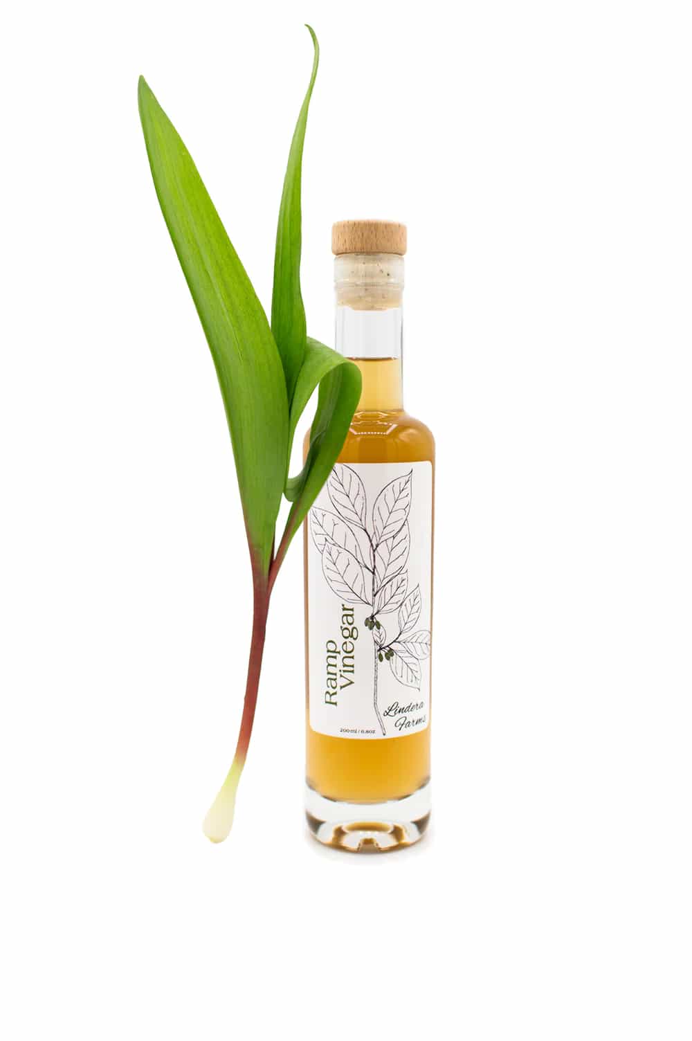 Ramp Vinegar