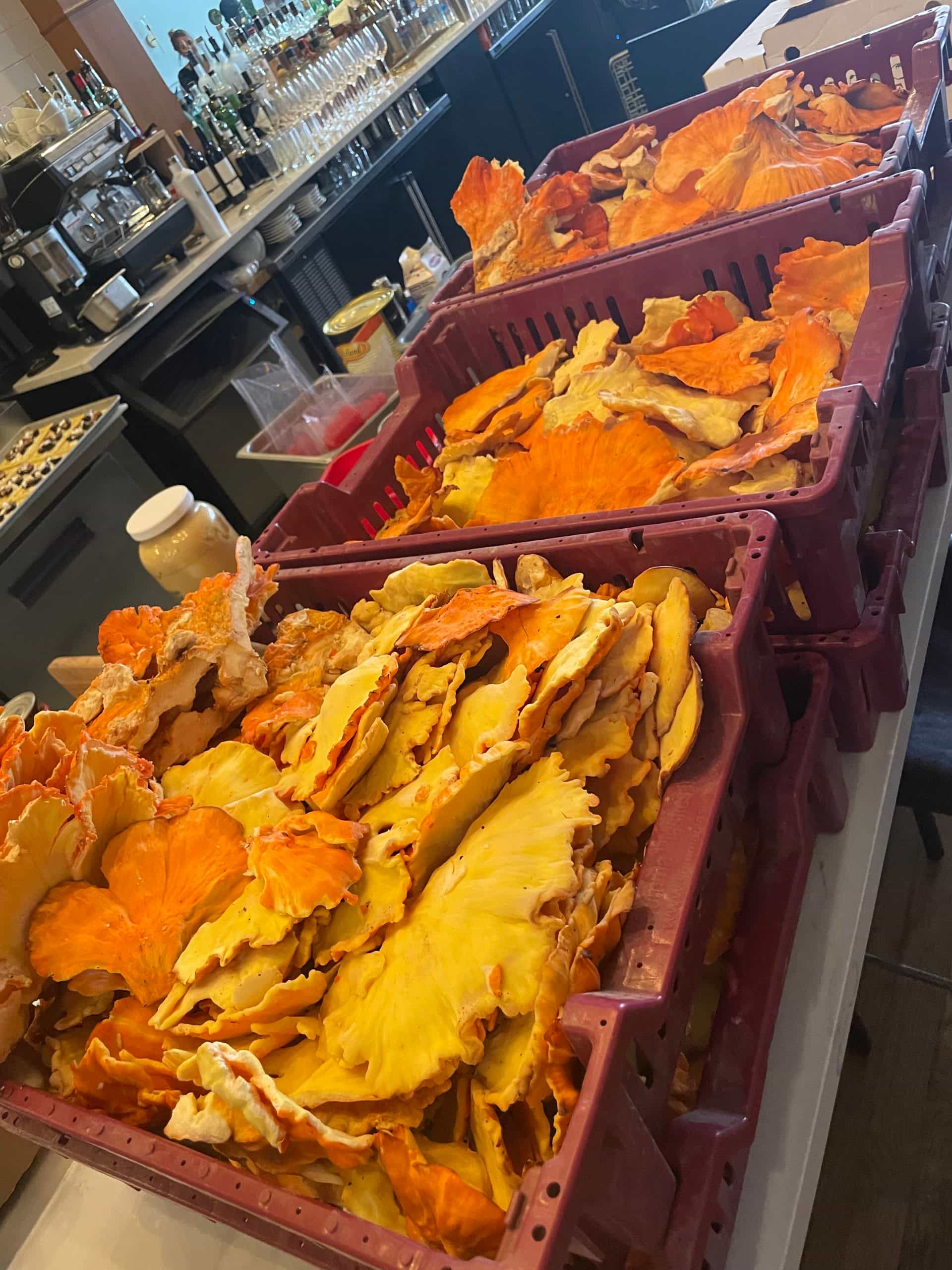 4oz Chicken of the Woods Dried Mushrooms