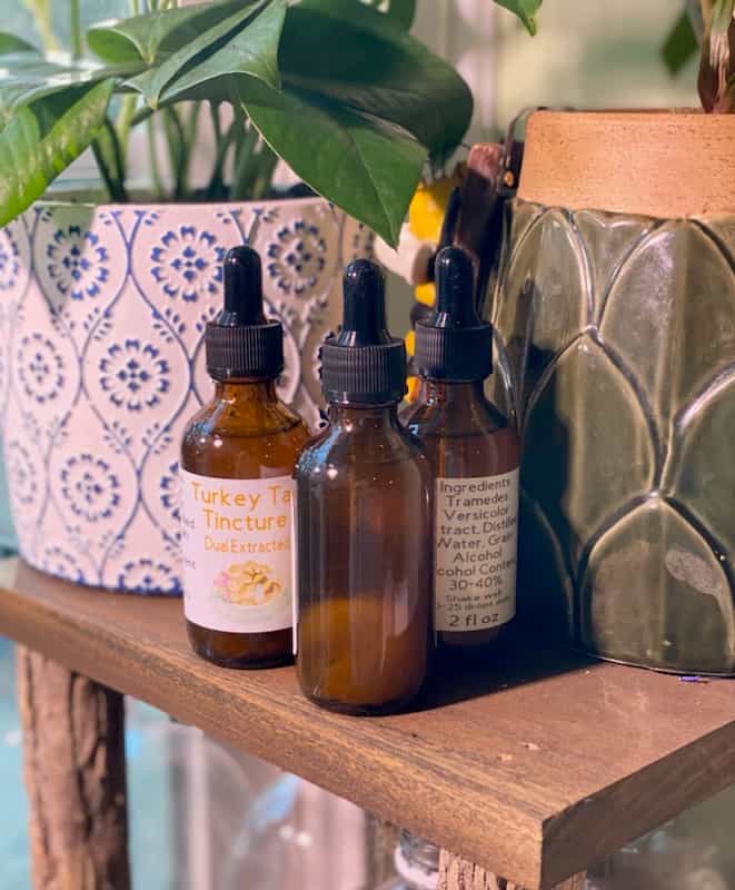 Turkey Tail Tincture - Dual Extracted