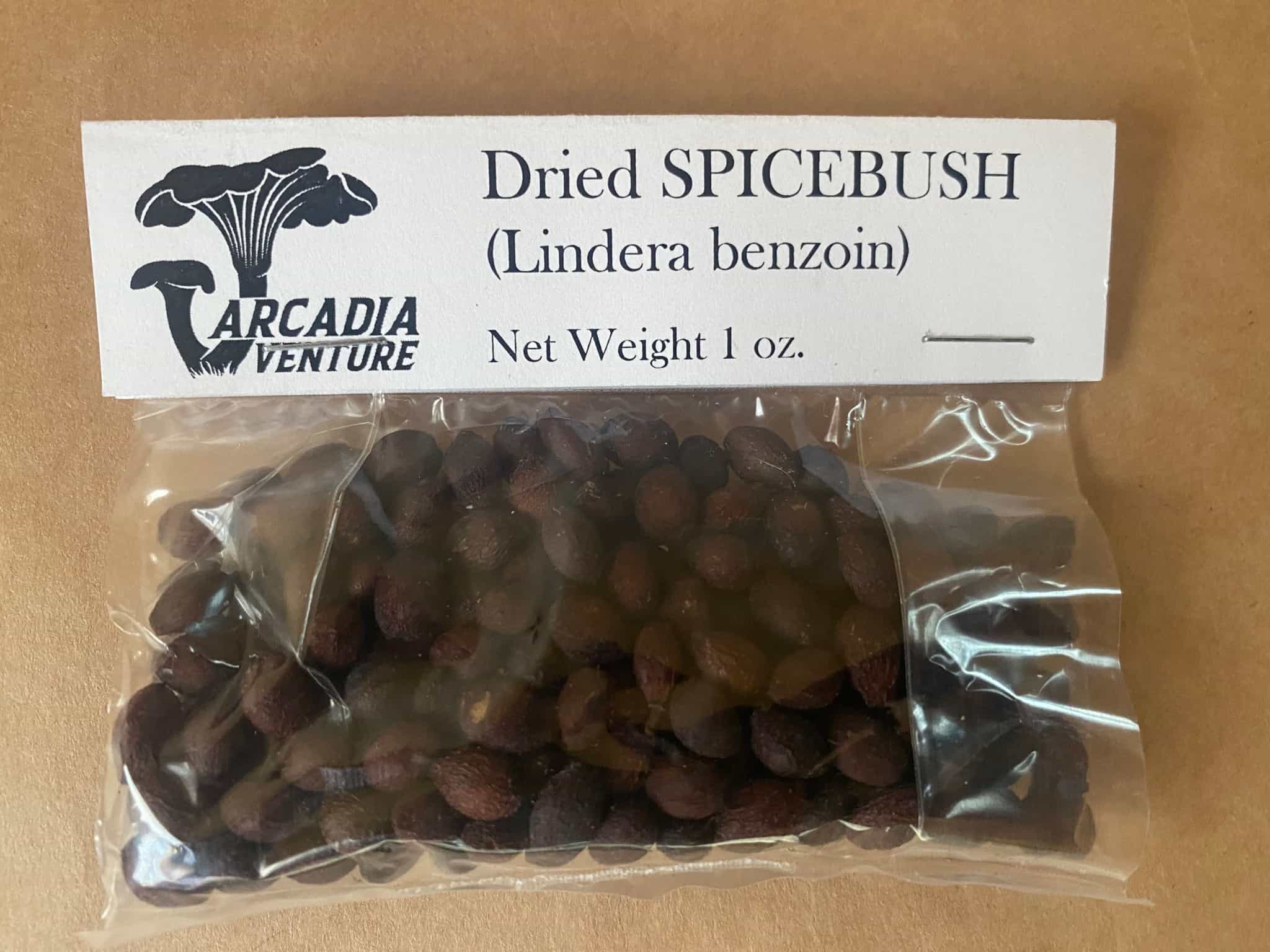 Dried Spicebush, 1 oz.