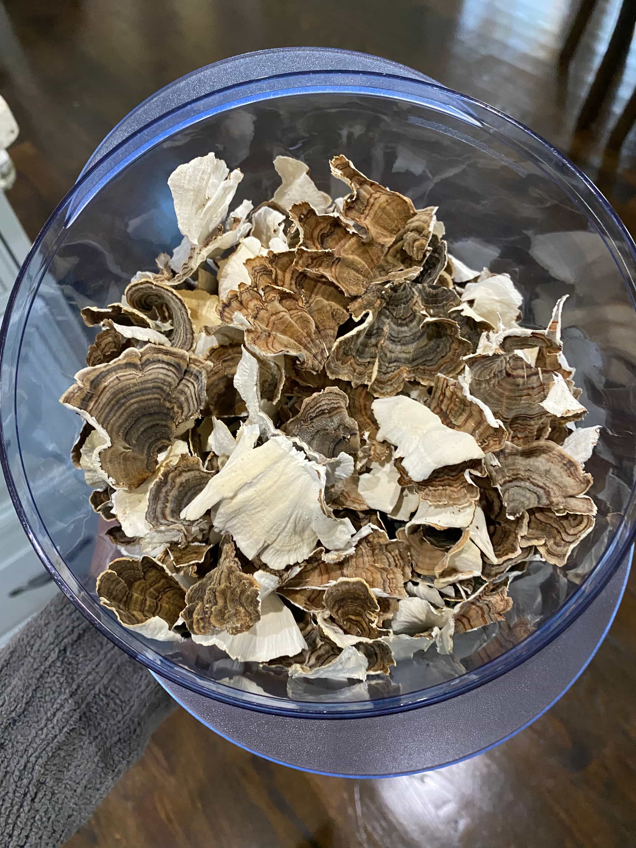 Dried Turkey Tail - Fall 2022