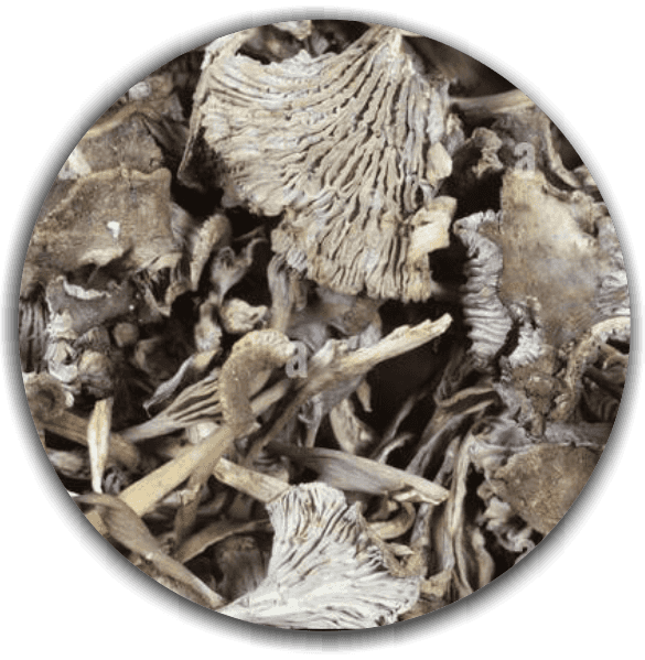 Product image #1