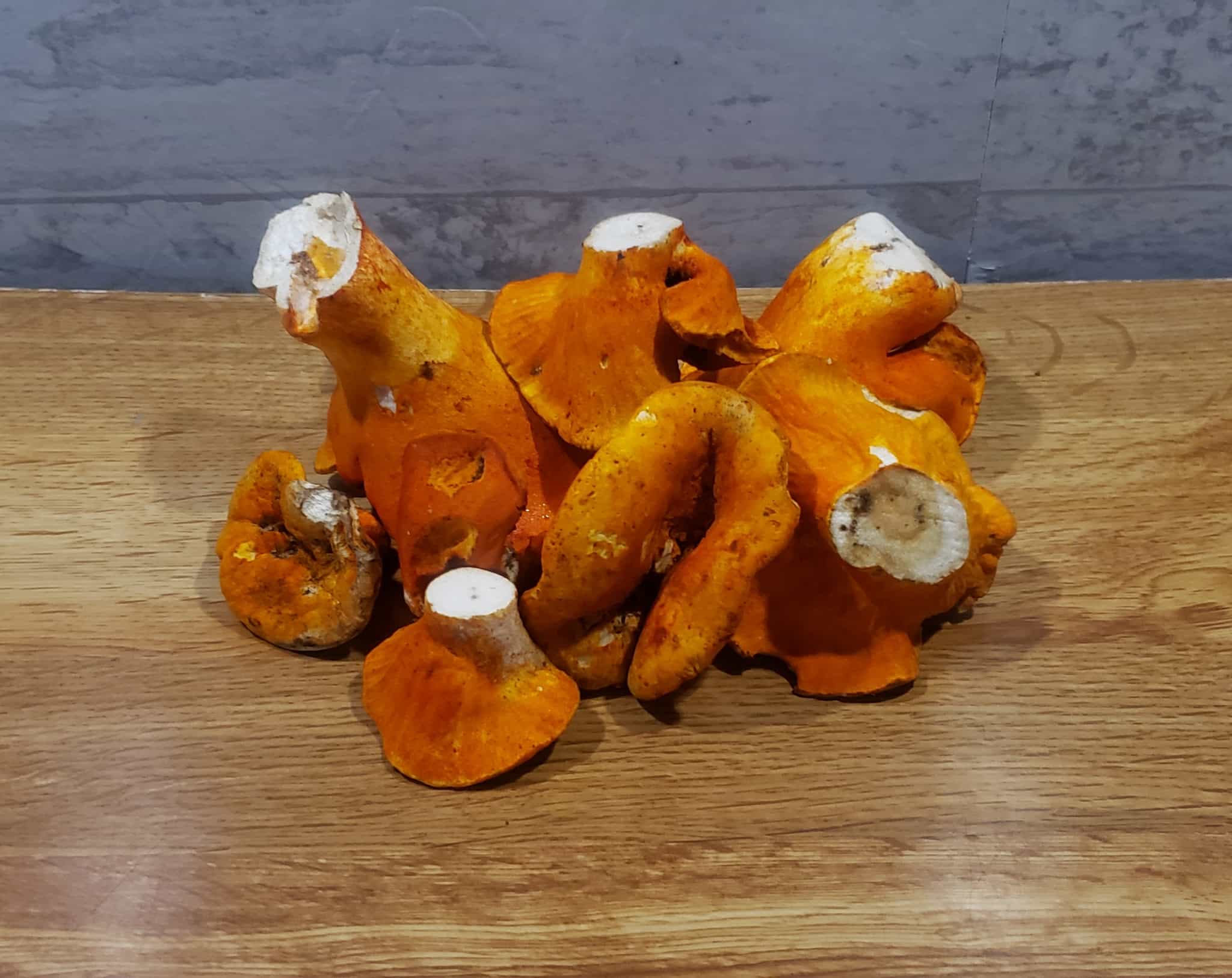 Dried Lobster Mushrooms - FREE SHIPPING INCLUDED!