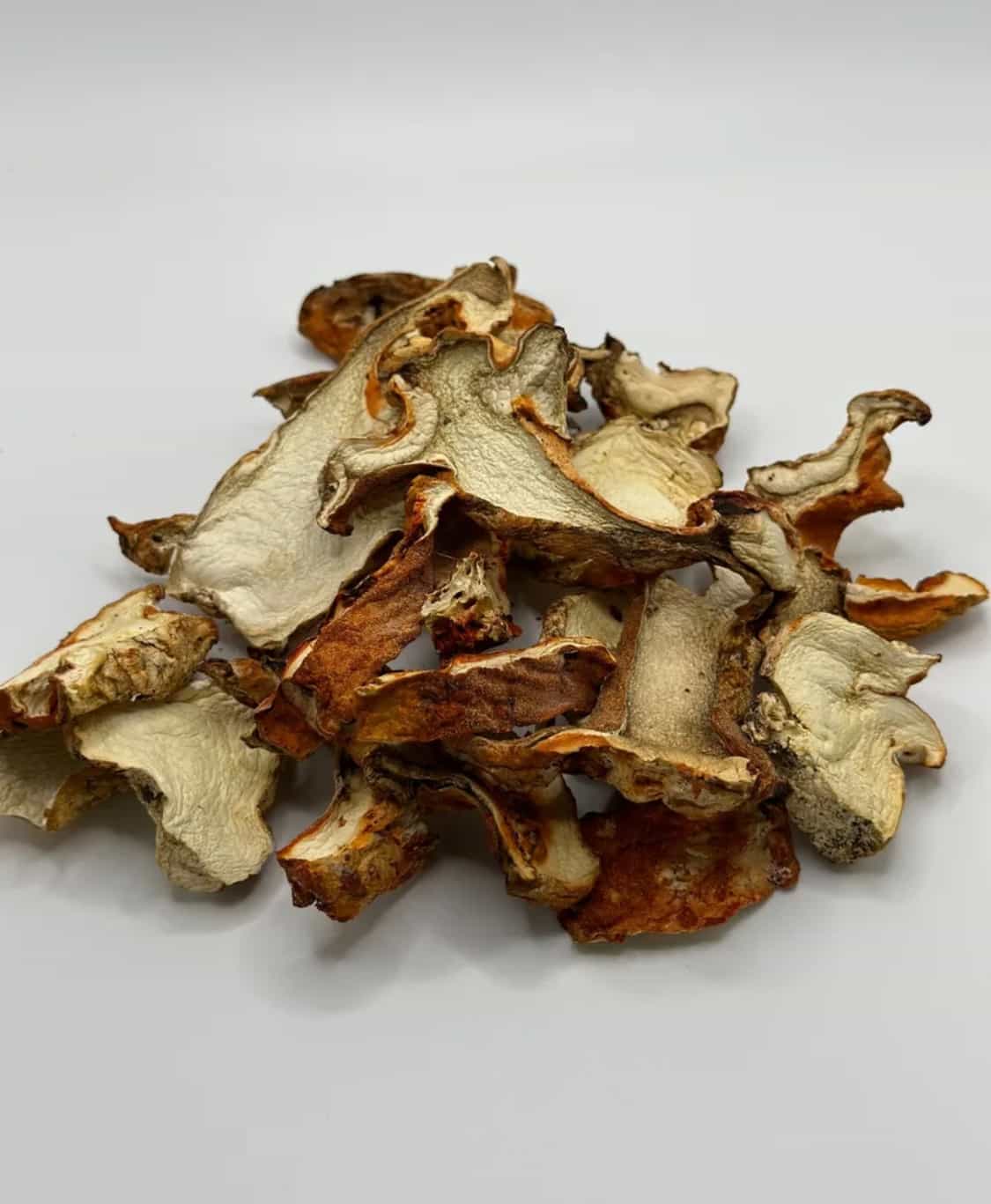Dried Lobster Mushroom - 16 oz. (1 Pound)