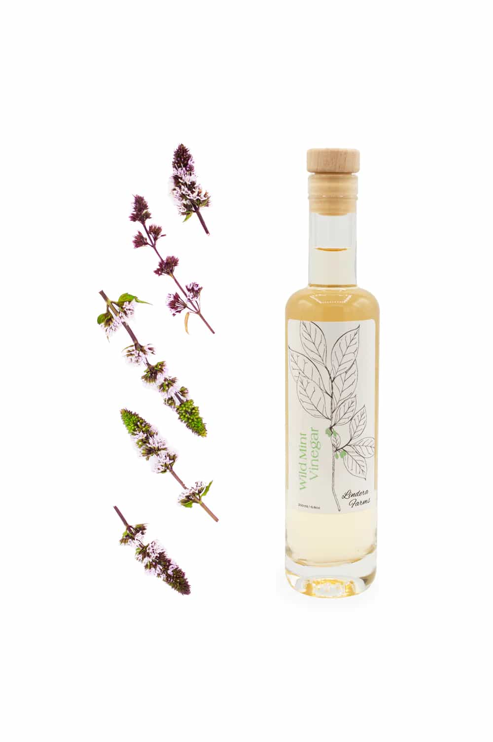 Wild Mint Vinegar