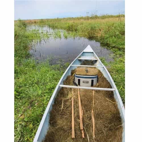 Minnesota Hand Harvested Wild Rice Manoomin Foraged