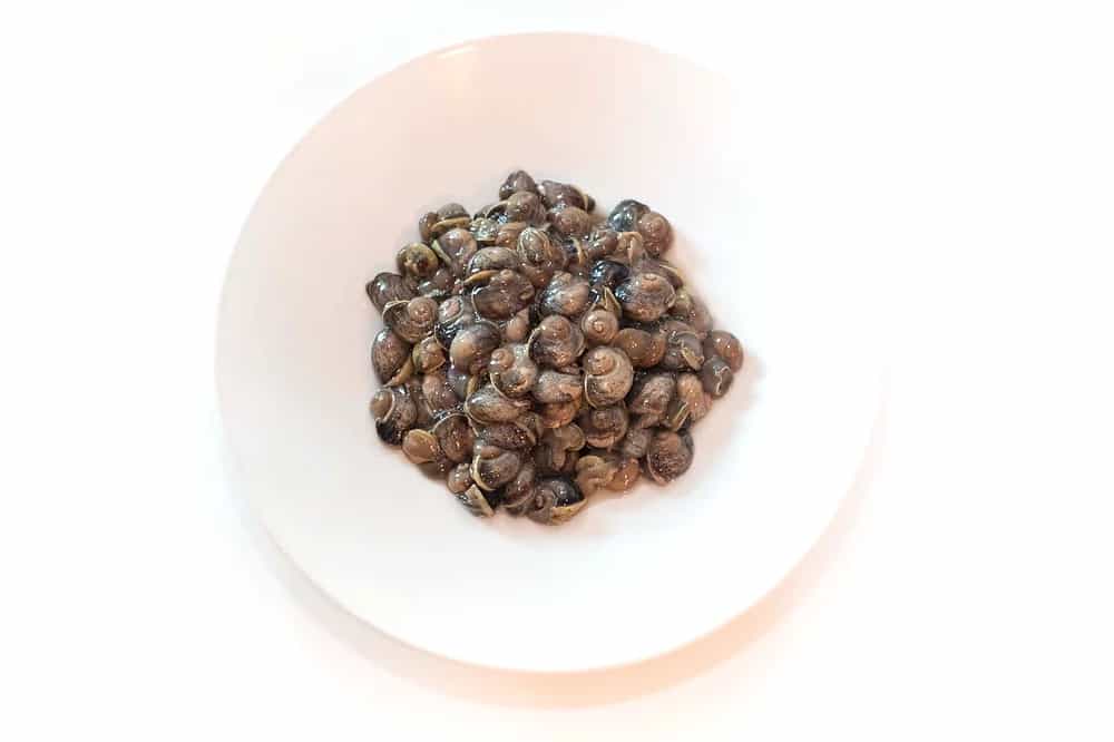 Product image #1