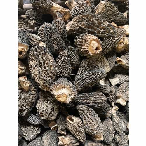 Dried Wild Morel Mushrooms 2023