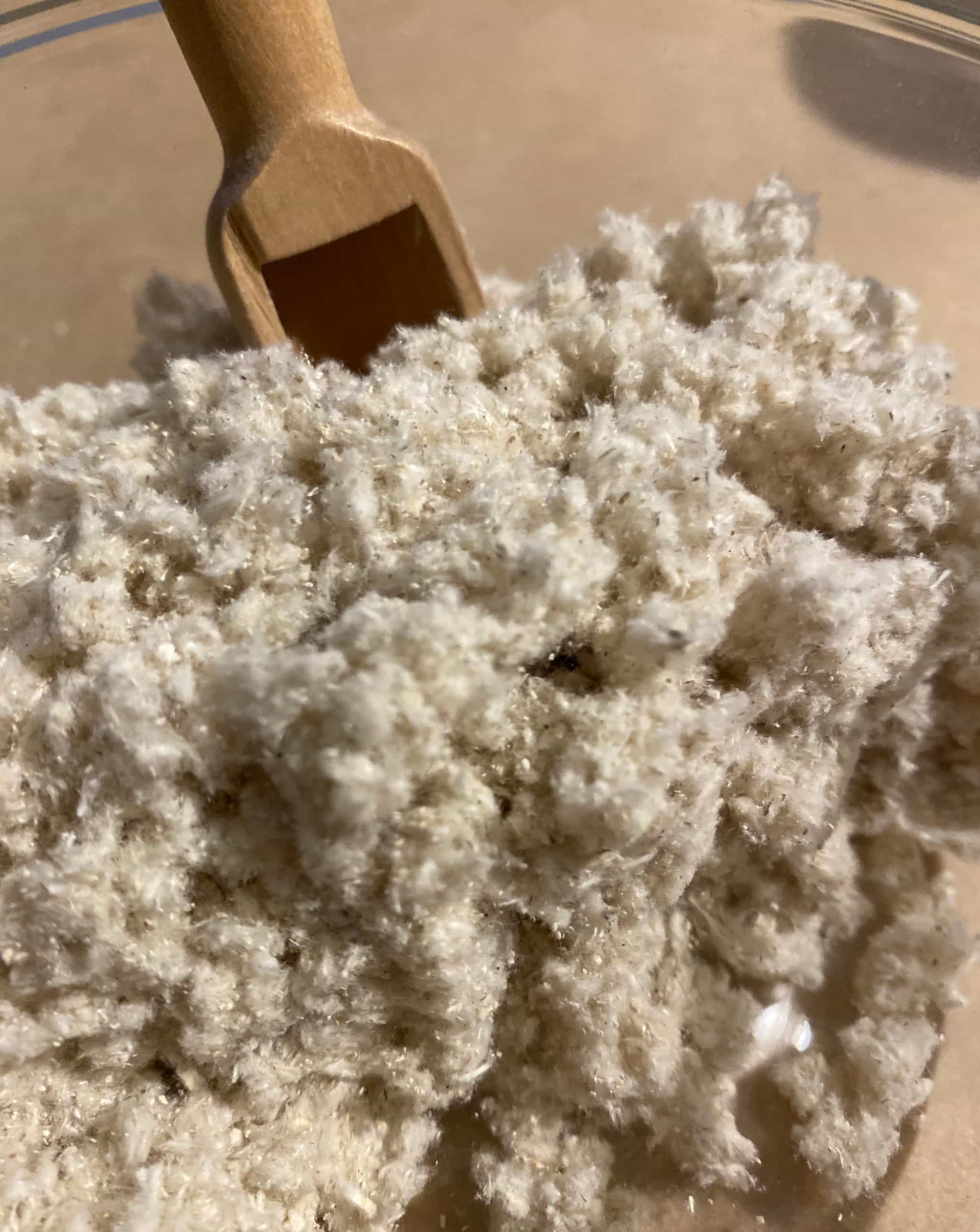 Wild Forest Seasoning Salt