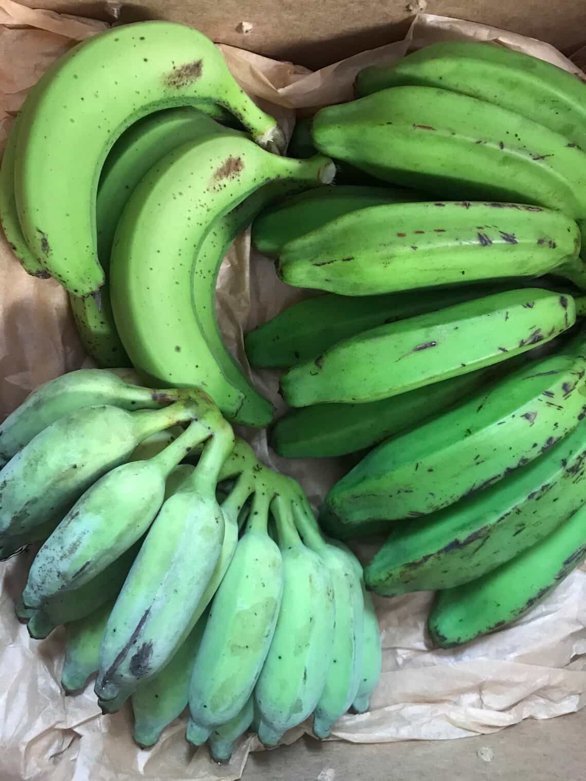 Praying Hands Bananas Fresh Tropical Fruit IN SEASON 