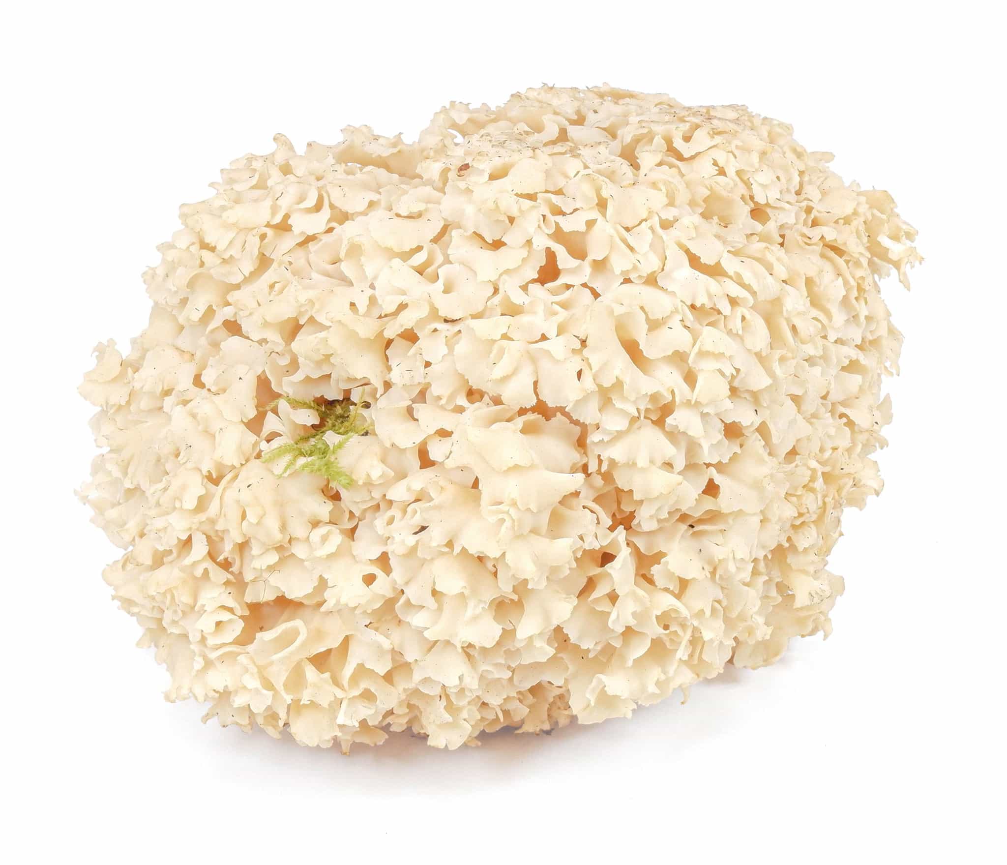 Product image #0