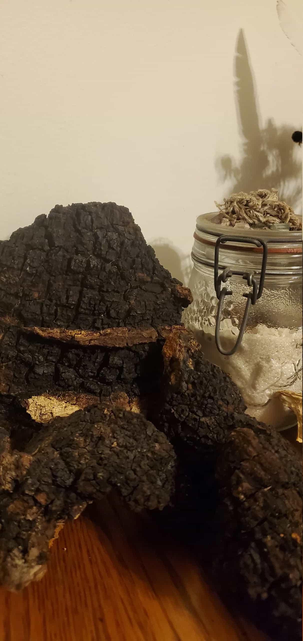 Wild Catskill Forest Chaga Whole, Kindly Harvested Inonotus obliquus, Hua Jie Kong Jun