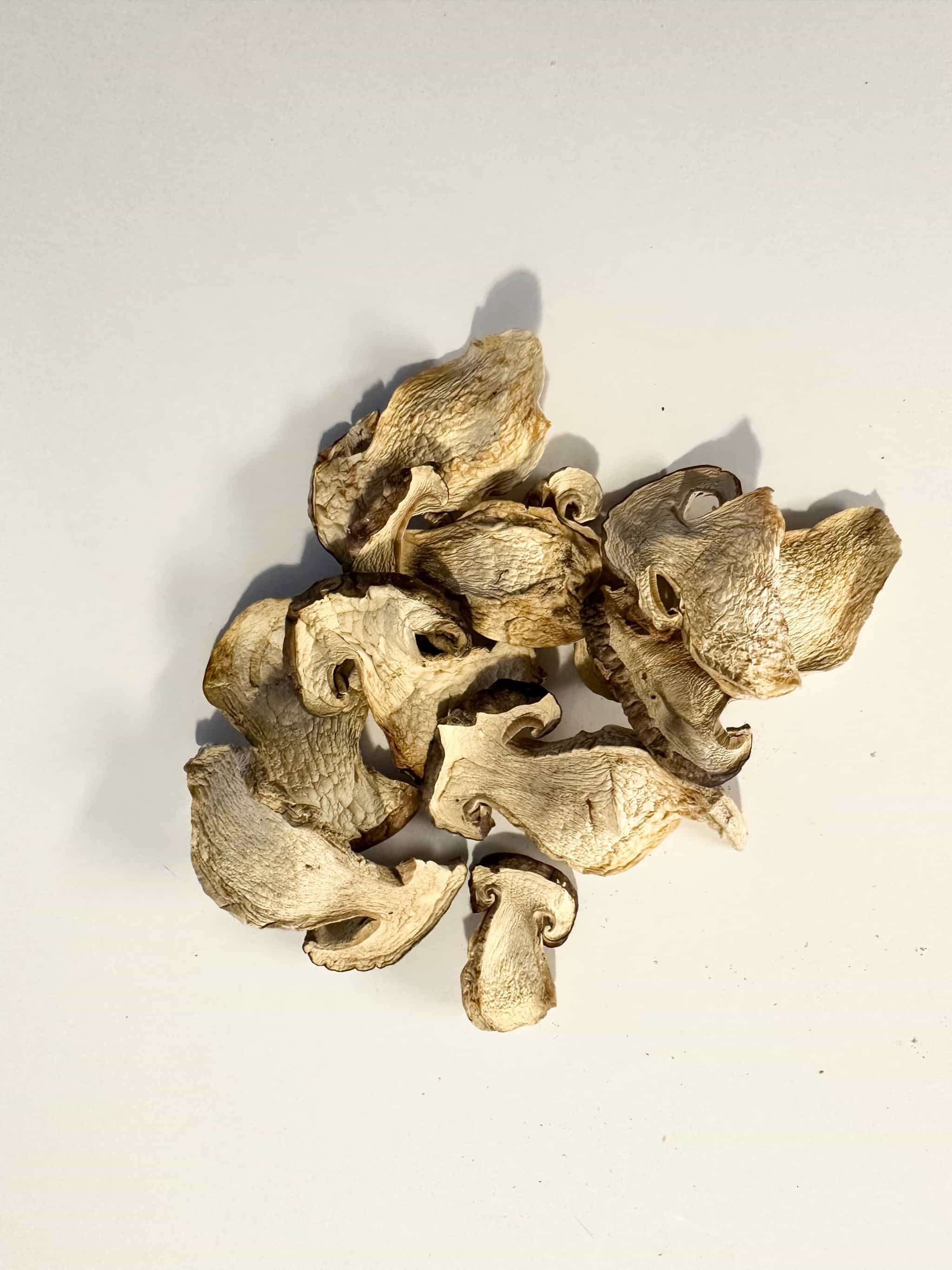 Dried Wild Porcini
