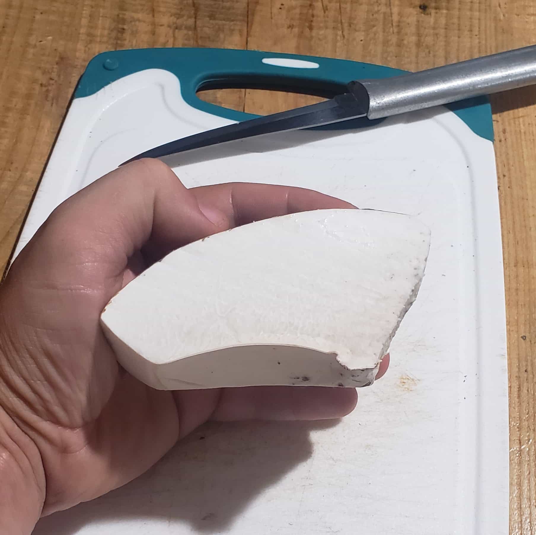 Dried Birch Polypore - FREE SHIPPING INCLUDED!