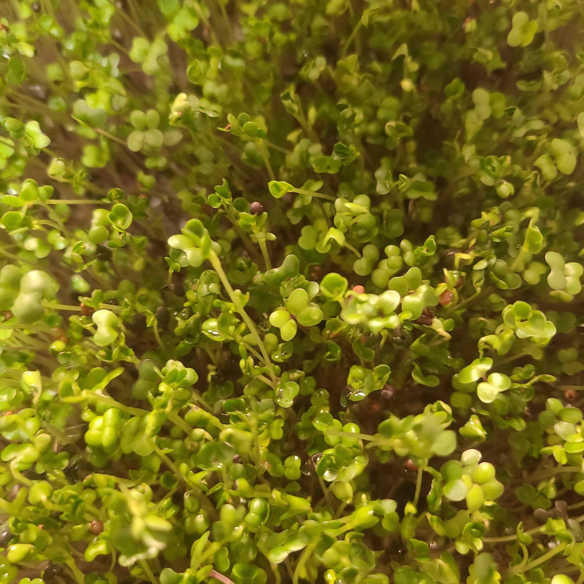 Product image #2