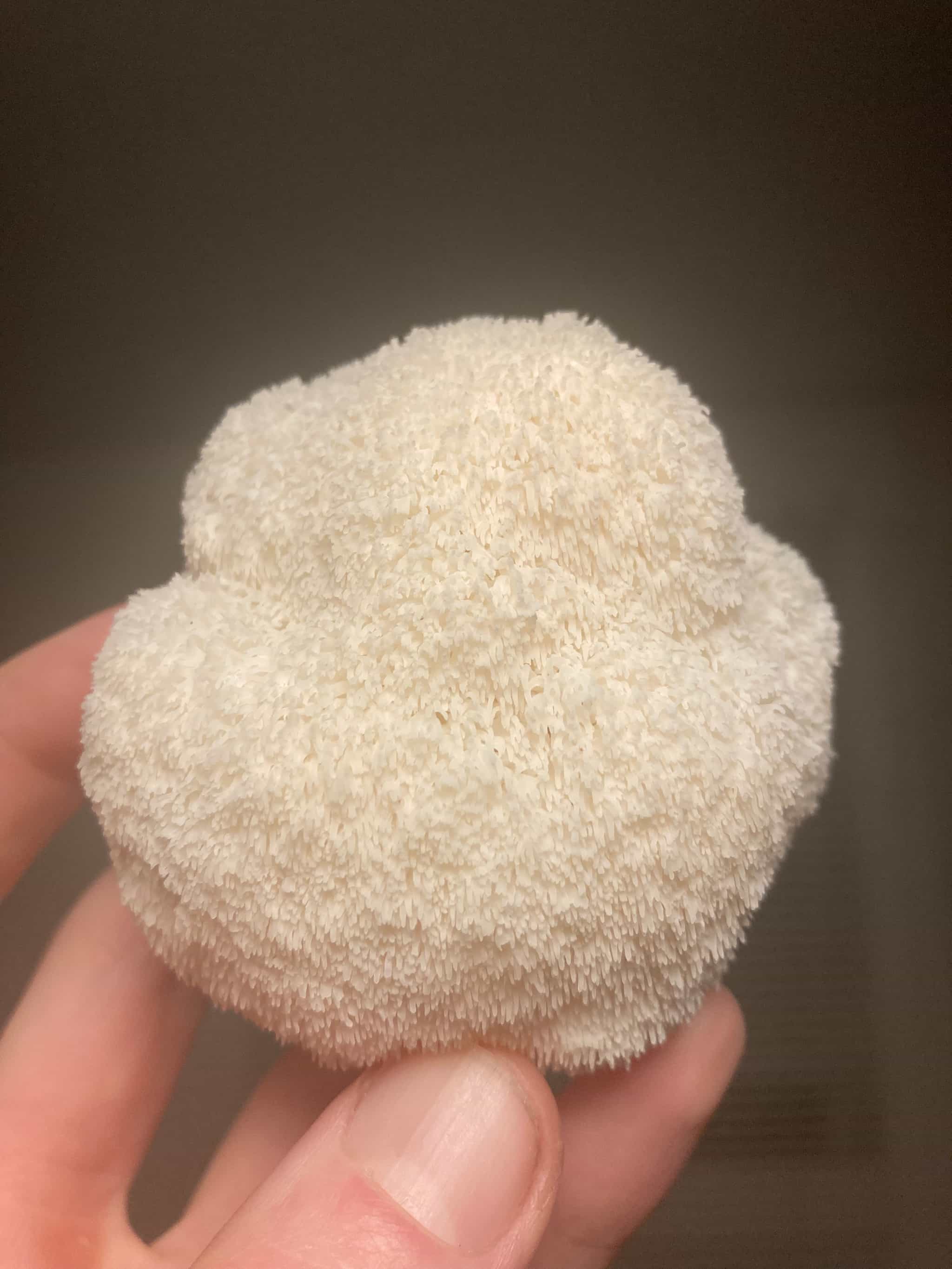 Product image #0