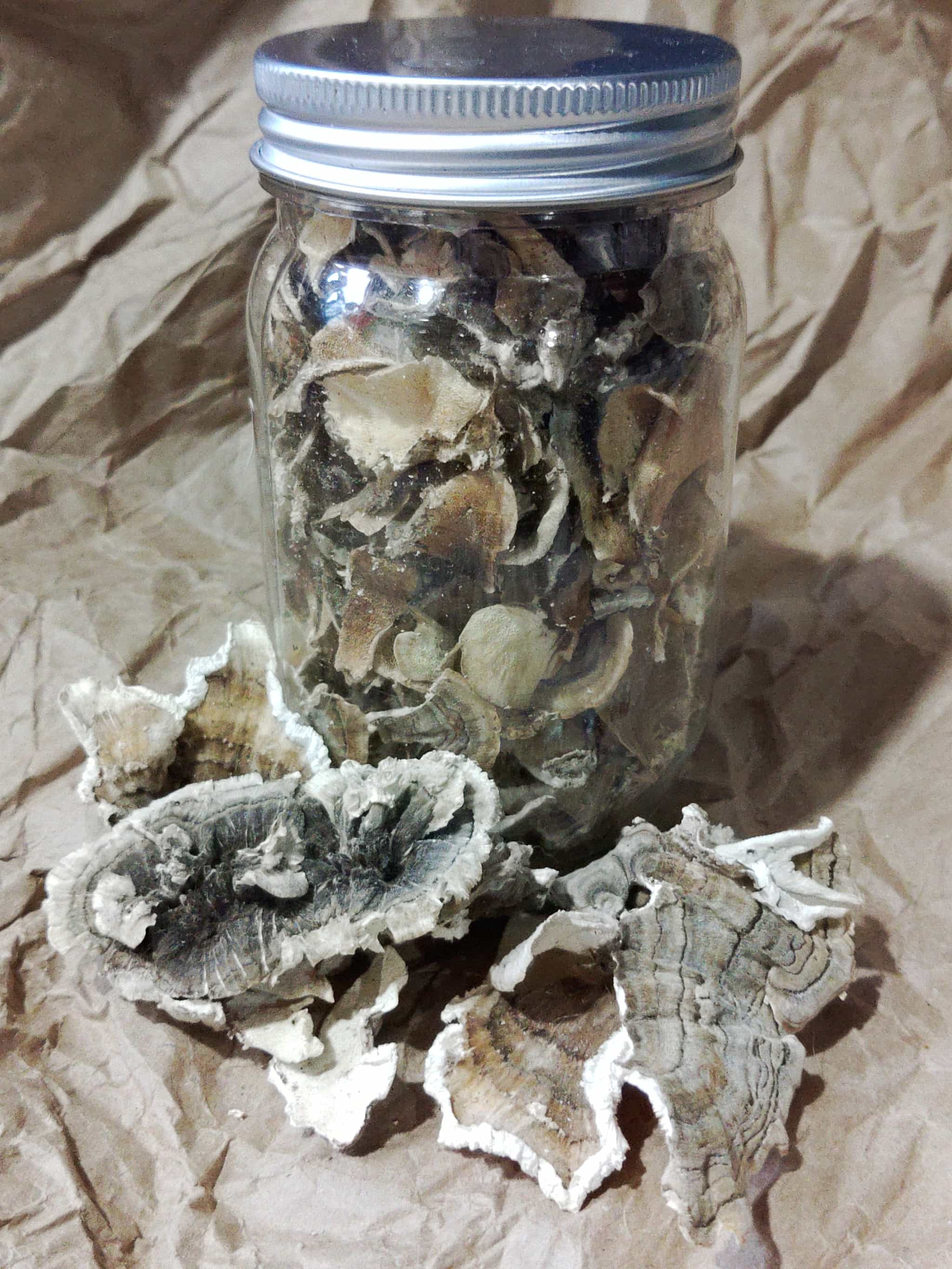 Roasted Turkey Tail (Ready to Use!)
