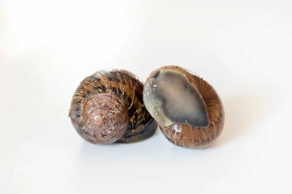 Product image #1