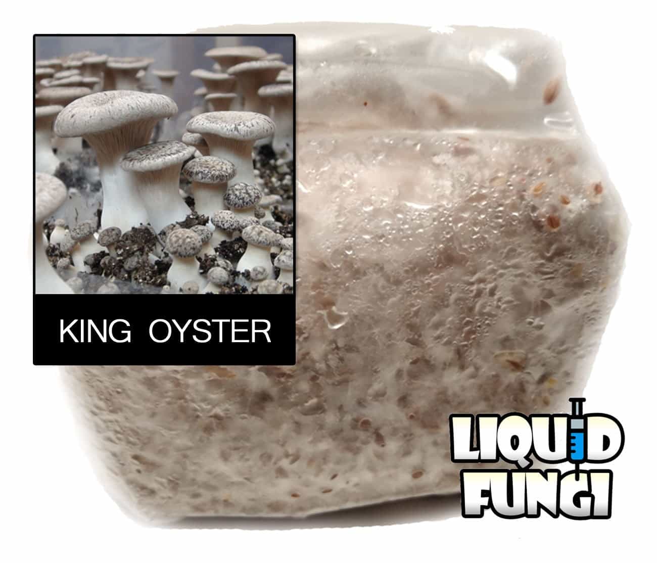 Product thumbnail #1