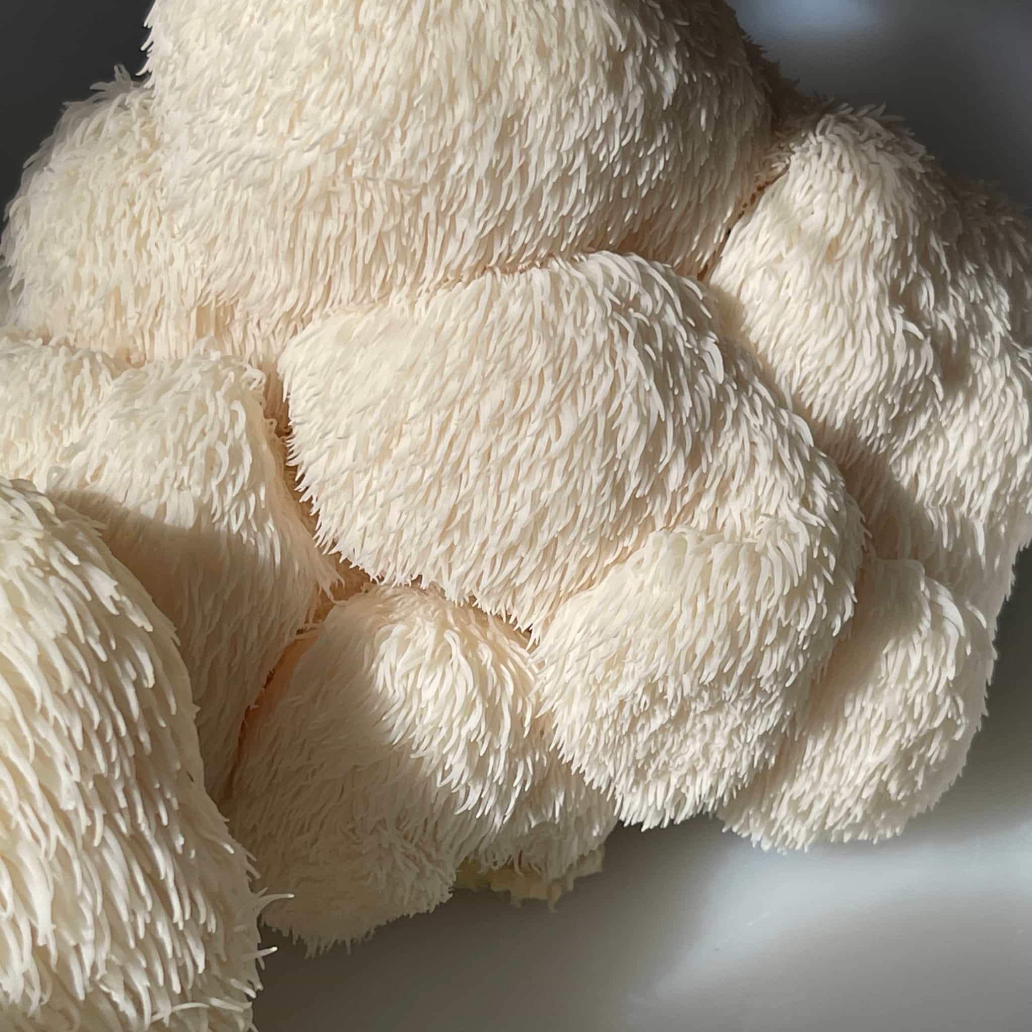Product image #0
