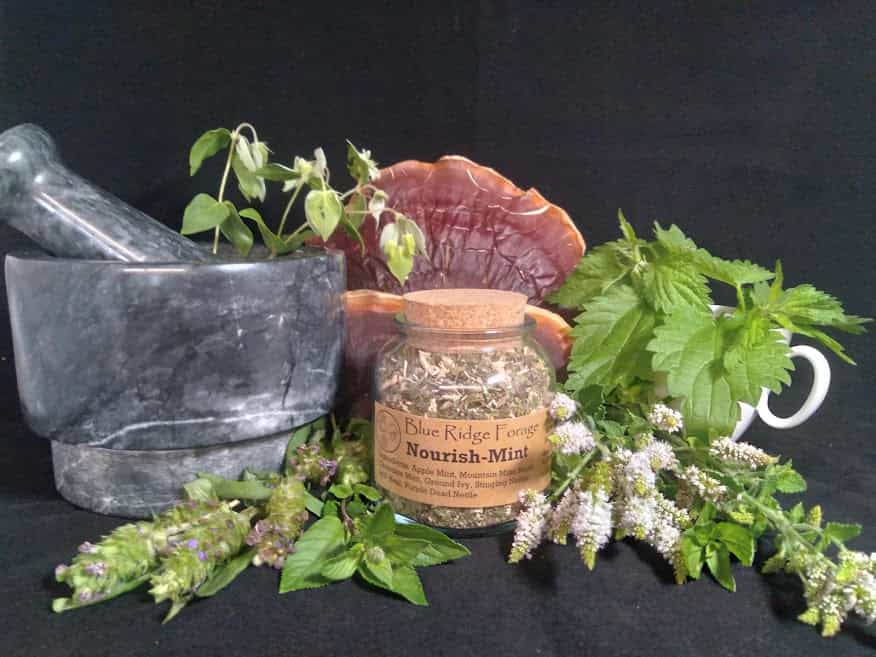 Nourish-Mint (Reishi+Mint Tea)