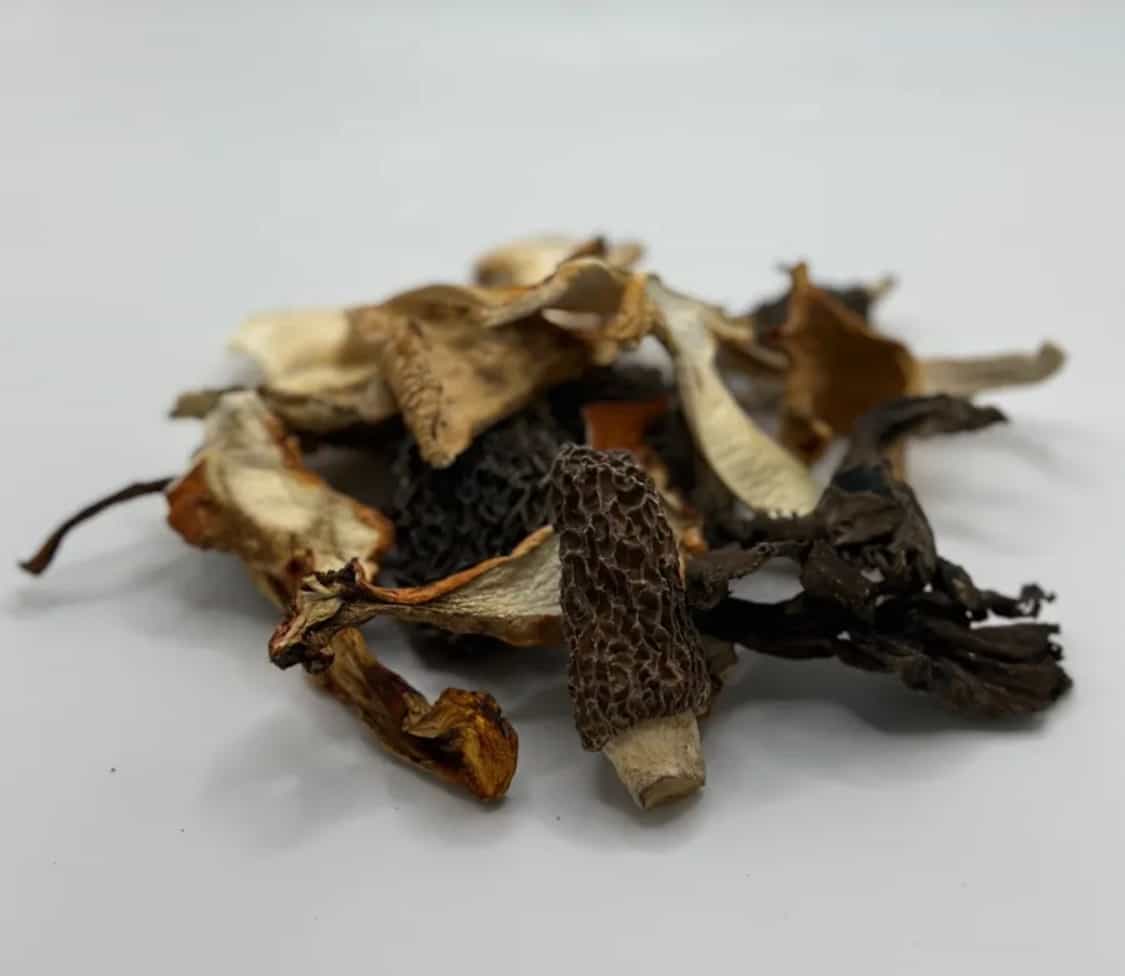 Dried Wild Mushroom Mix - 8 oz.