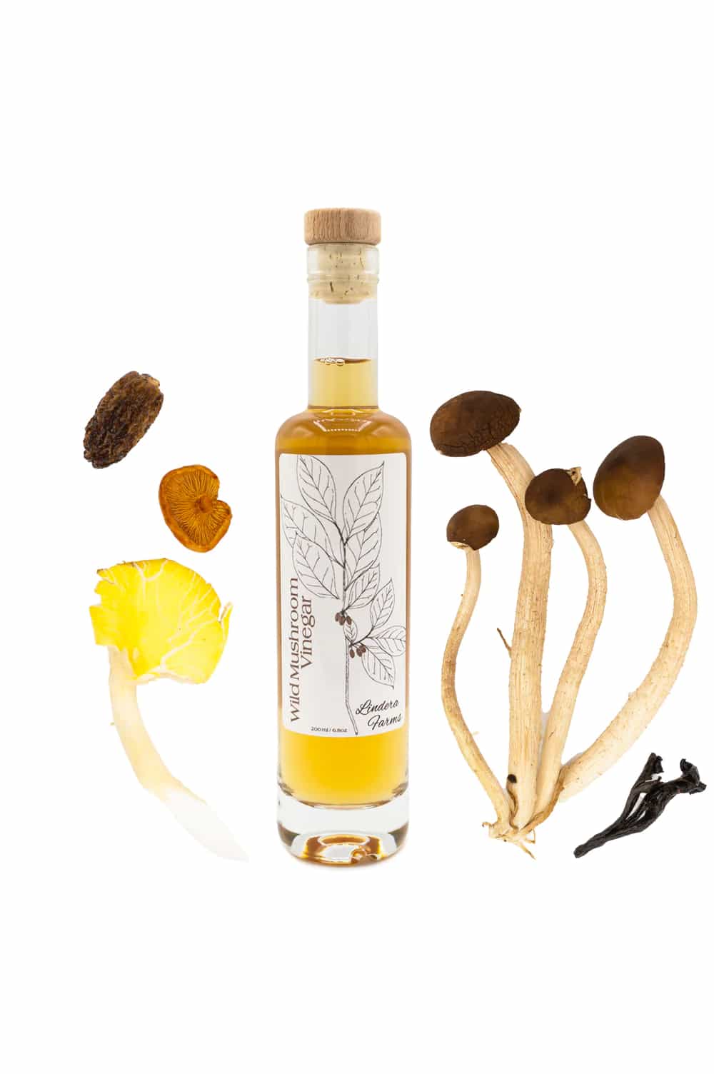 Wild Mushroom Vinegar