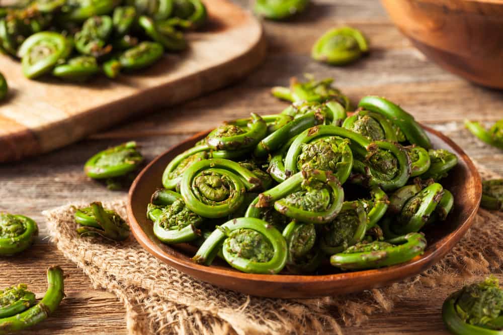 Fresh Vermont Fiddleheads 1lb Foraged