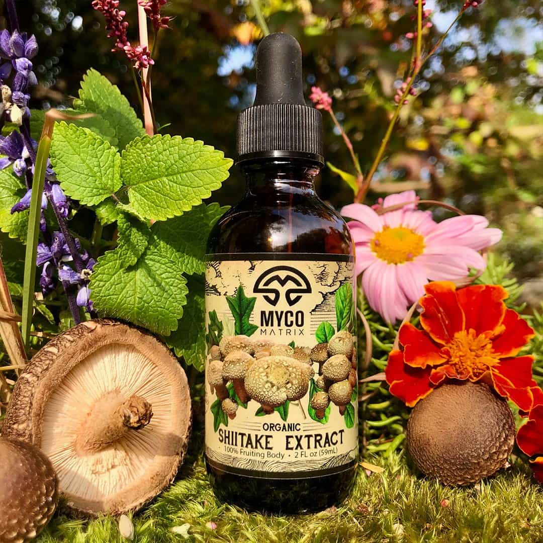 Mycomatrix SHIITAKE Adaptogenic Mushroom Extract