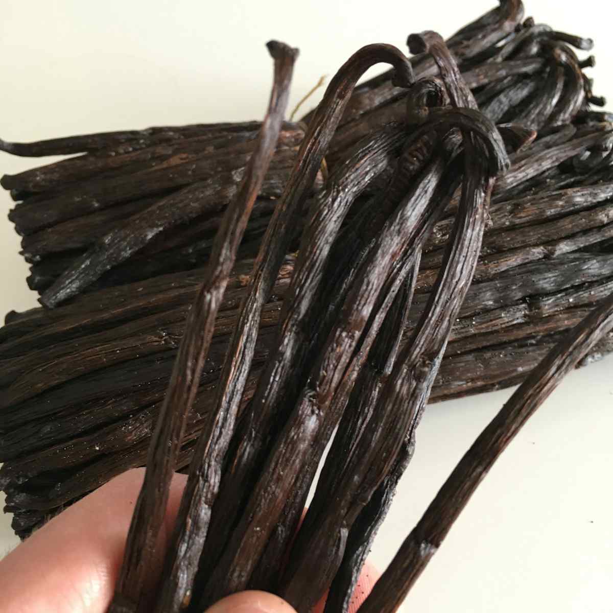 Madagascar Pure Vanilla Beans - Grade A - Foraged