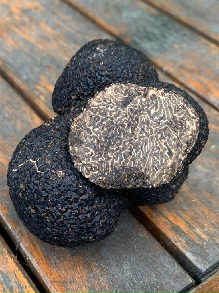 Australian Perigord Truffles  (Tuber melanosporum)