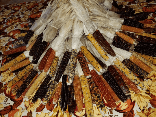 Popcorn, Decoration, or Seed