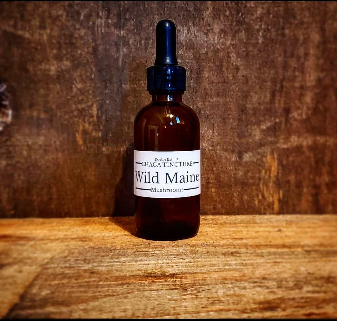 Chaga Tincture - Double Extract - Wild Maine Chaga (4oz Bottle) FREE SHIPPING!