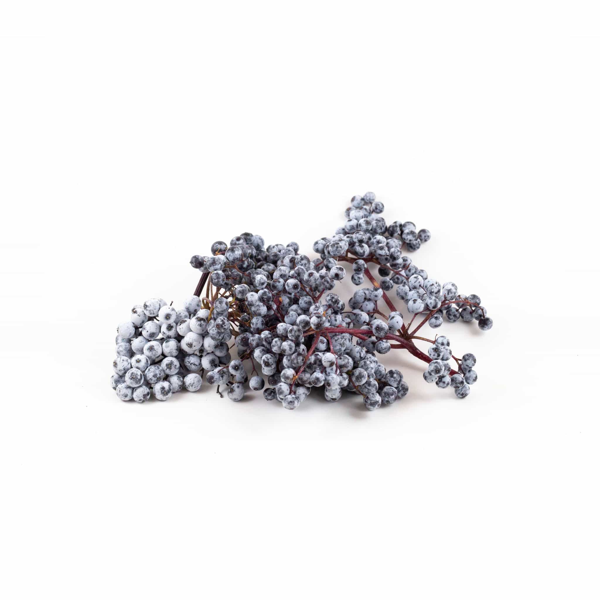 Frozen Wild Elderberries (1lb)