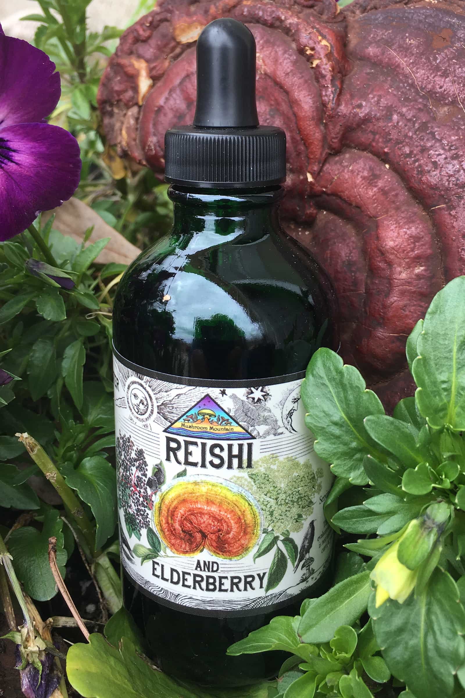 Reishi & Elderberry Tincture