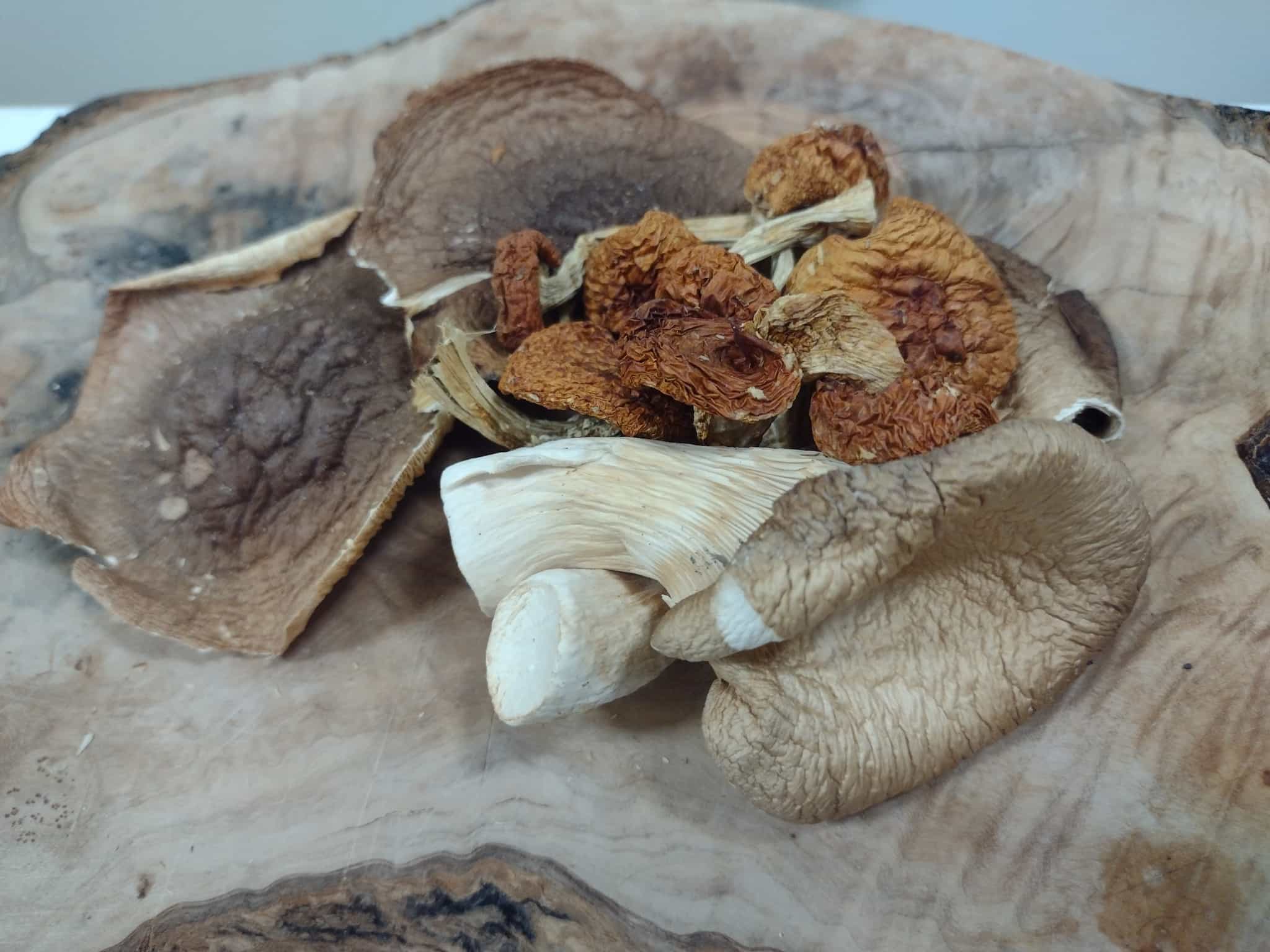 Forest grown dehydrated mushroom mix