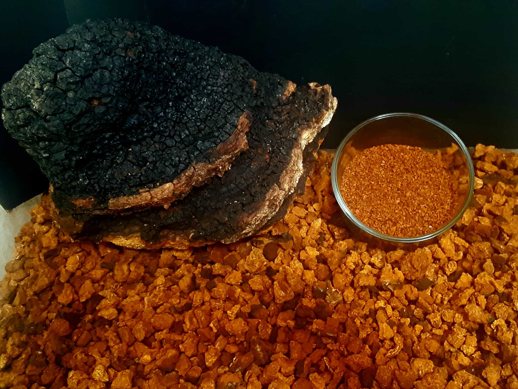 Bulk Chaga Ground and Chunked