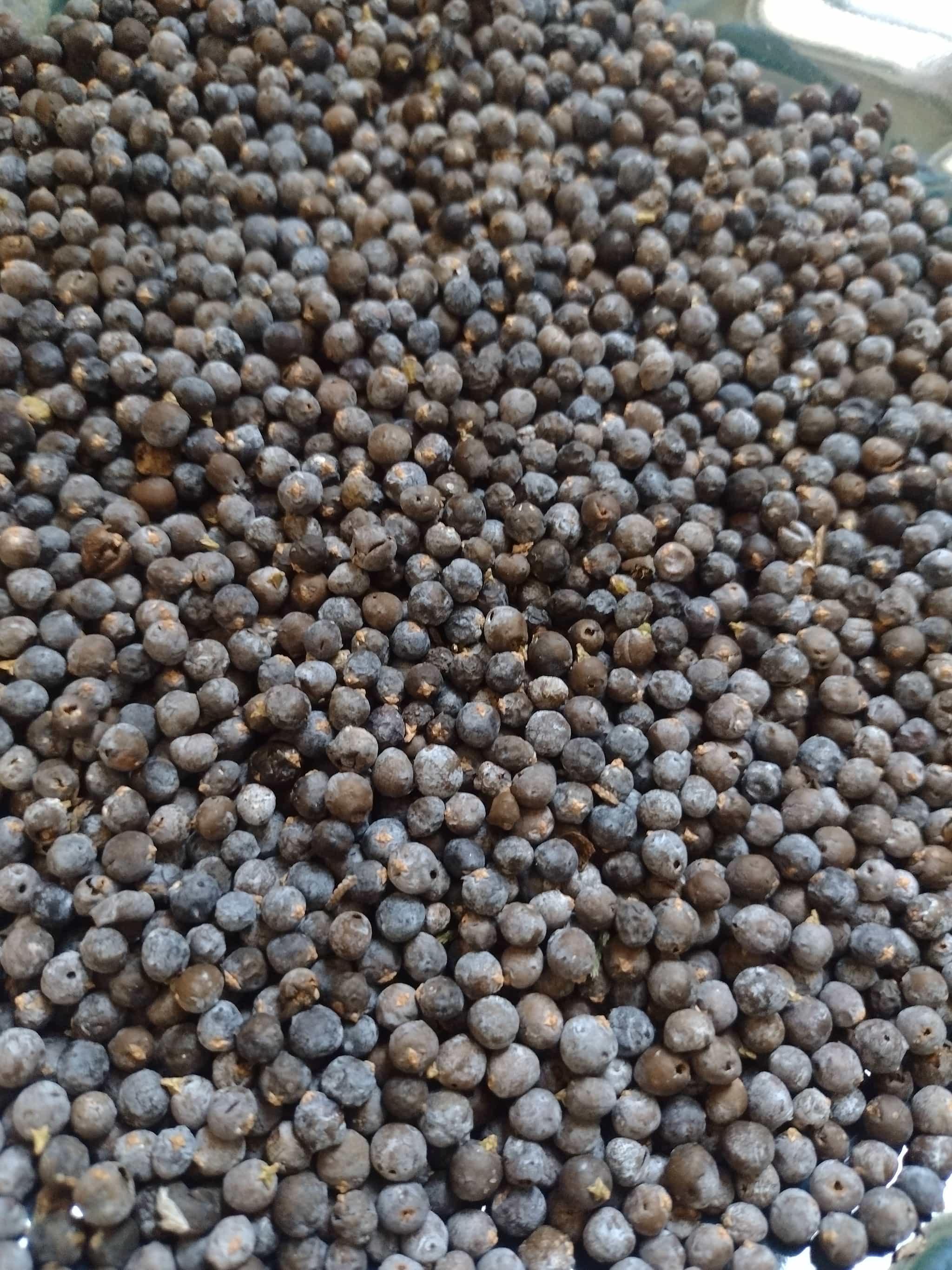 Juniper Berries (Dehydrated 2oz.)