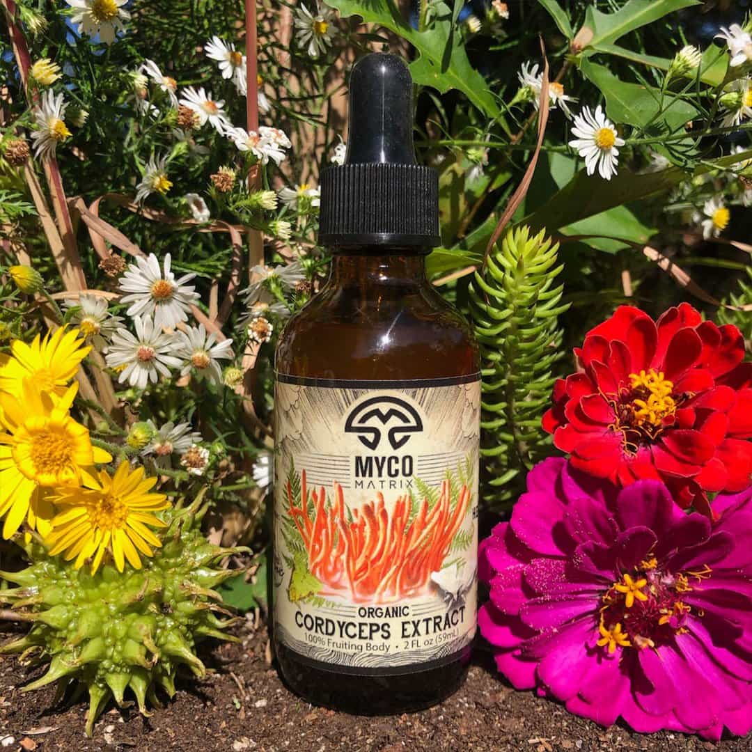 Mycomatrix CORDYCEPS Adaptogenic Mushroom Extract