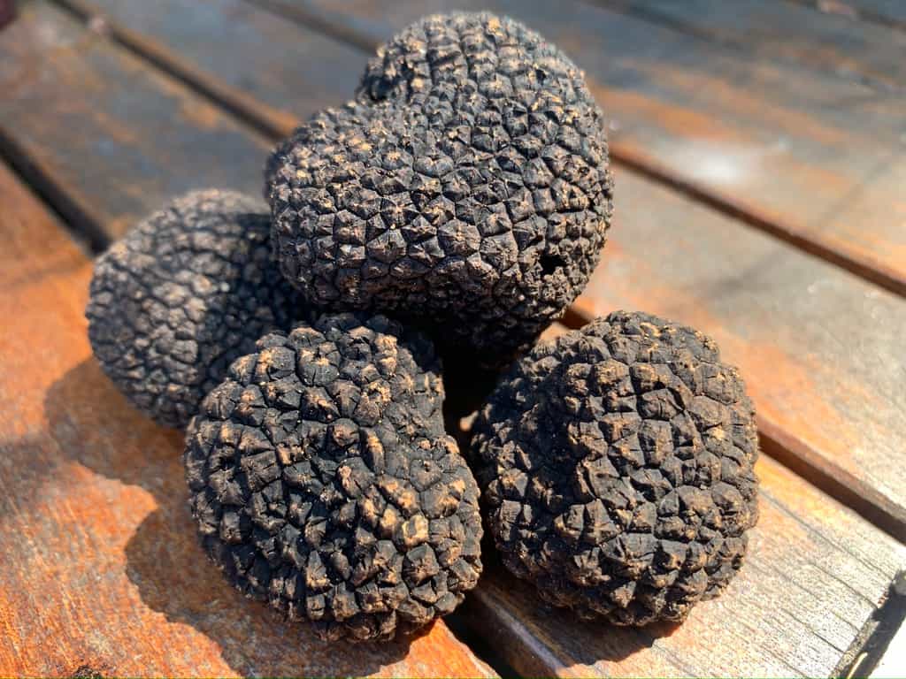 Burgundy Truffles (1 oz)