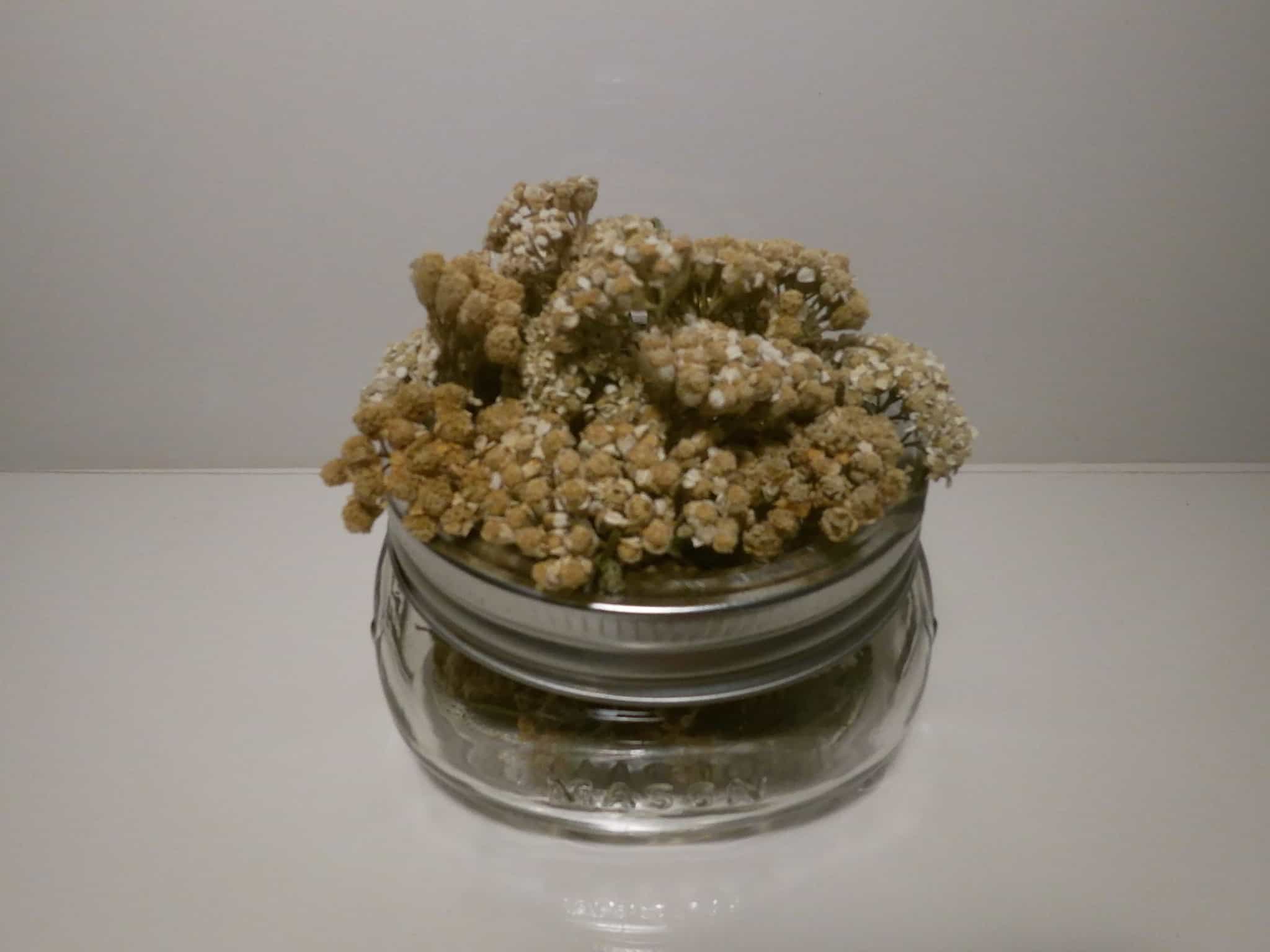 crushed dried Yarrow (1lb)