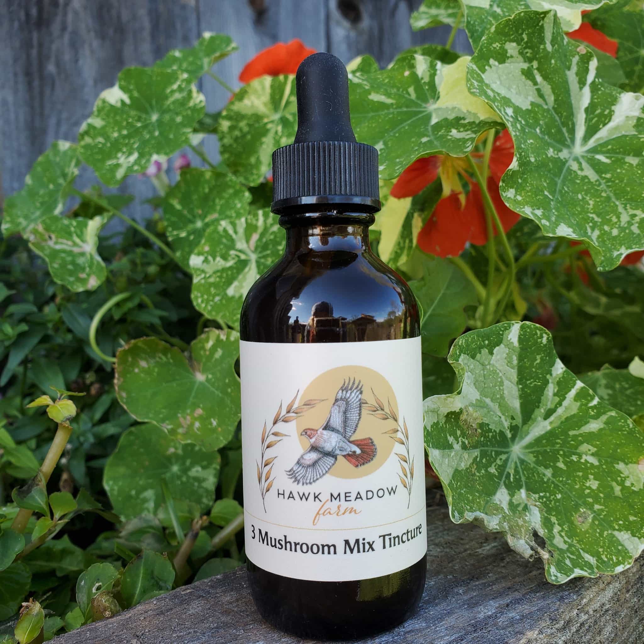 Product image #1