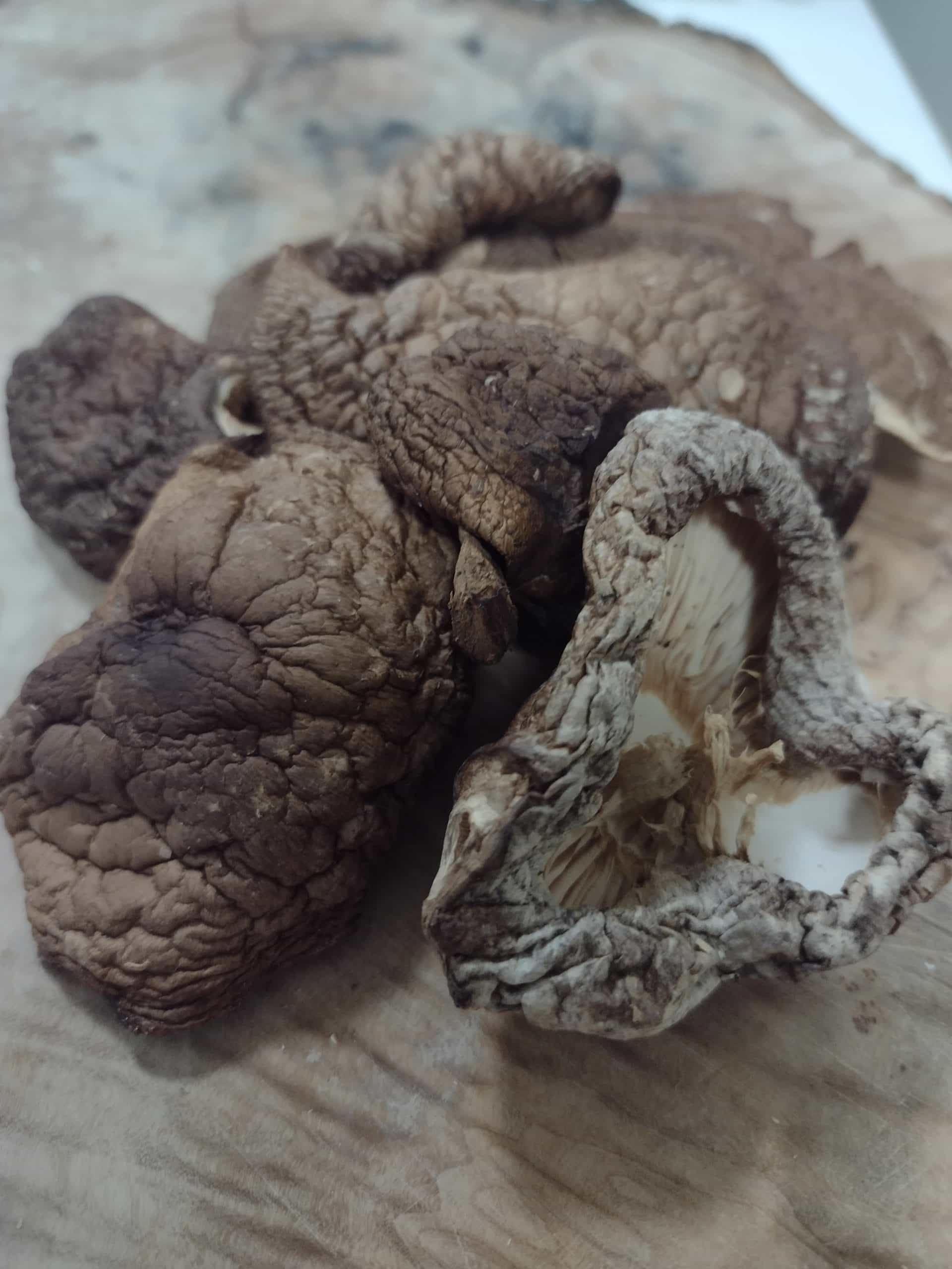 Dried Forest Grown Shiitake mushrooms
